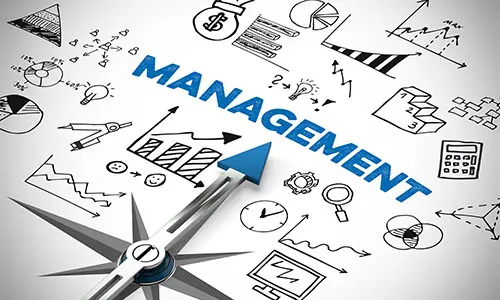 management