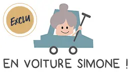 service aux apprenants en voiture simone