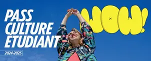service aux apprenants pass culture lyon